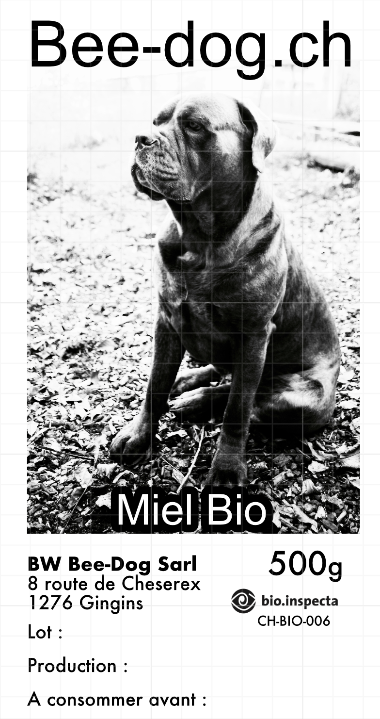 Bee-Dog.ch